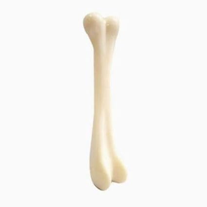 Hard Nylon Bone Chew Toy for Dogs Pack