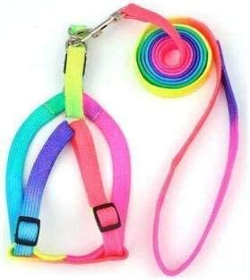 Multicolor Printed Harness Set - 0.5" for Cat & Puppy Pack