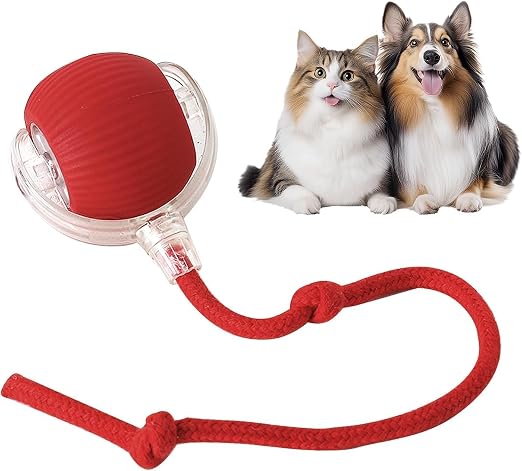 Cat Interactive Toy