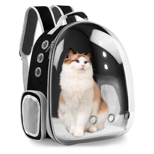 Transparent Cat Carrier Backpack - Airline Approved - Medium Pack