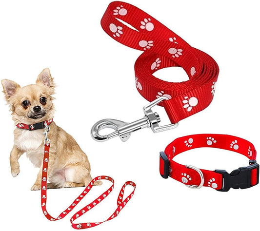 Fetch Printed Collar & Leash Set Pack