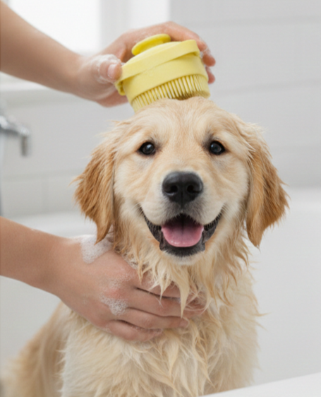 Silicone Massage Bath Brush