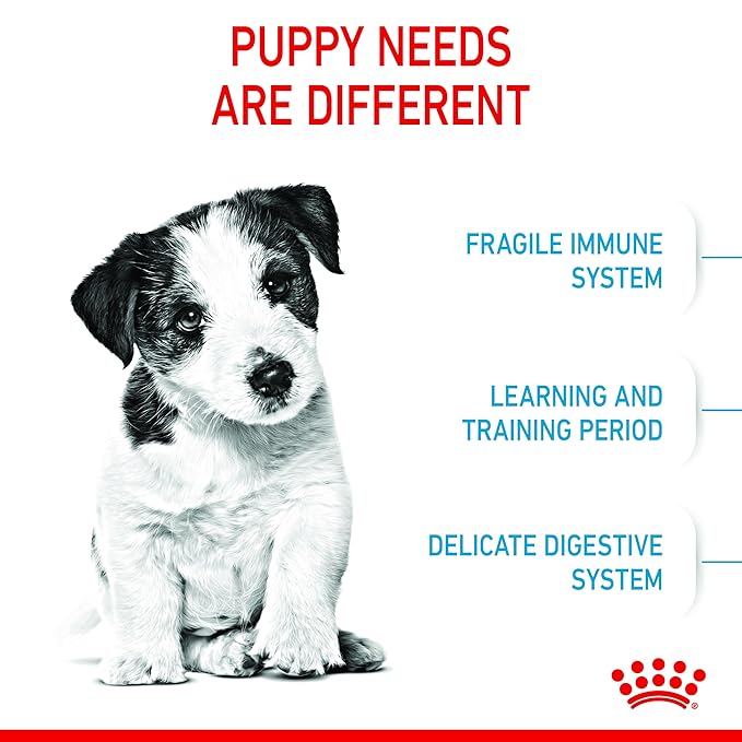 Royal Canin Mini Puppy Dry Food