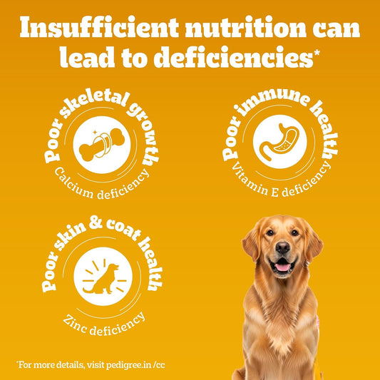 Pedigree 100% Vegetarian Adult & Puppy Dog Dry Food