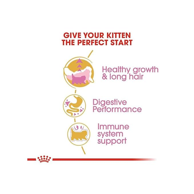 Royal Canin Persian Kitten Dry Food