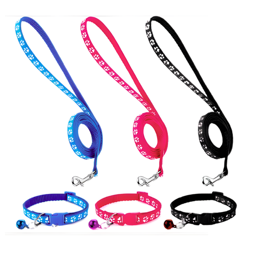 Matching Collar and Leash Sets