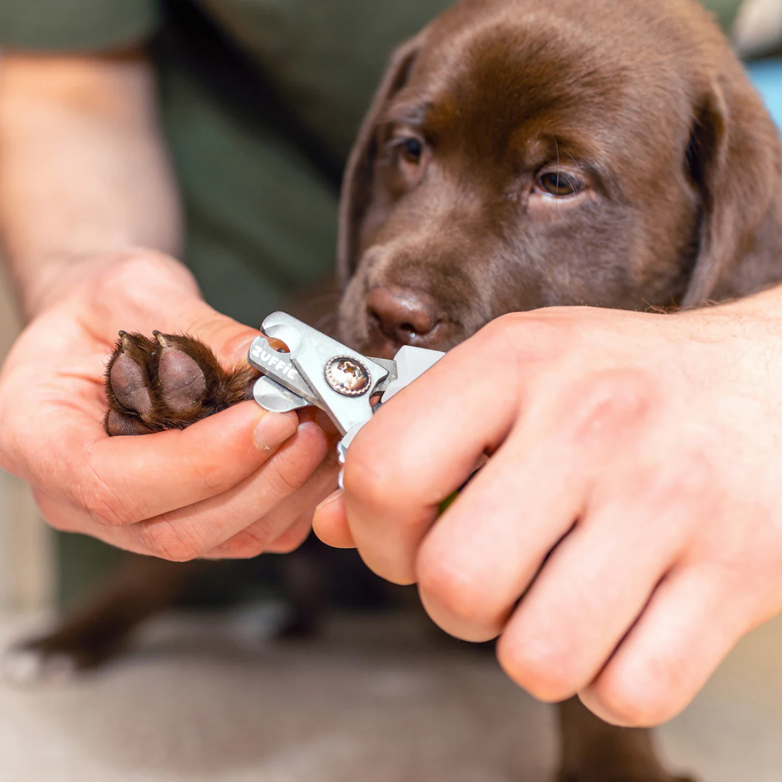 Pet Nail Clipper & File Set