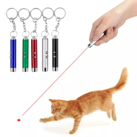 Laser Pointer Cat Toy Pack