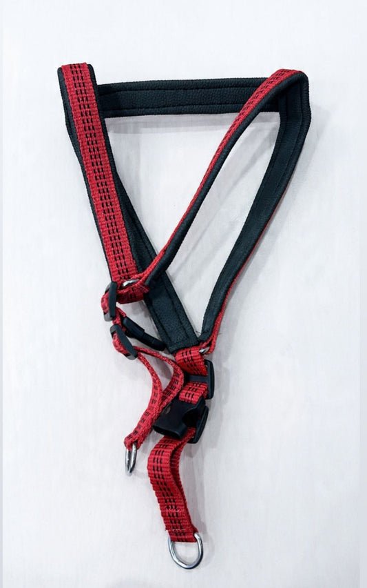 Adjustable Protective Pet Body Belt