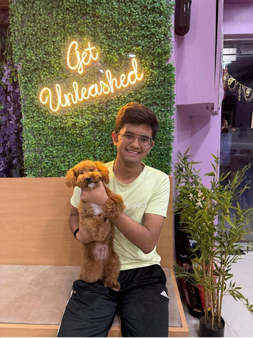 Pet grooming transformation