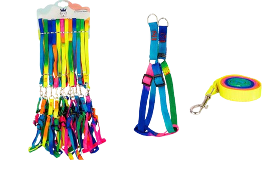 Rainbow Nylon Collar - 10mm Puppy & Cat Pack