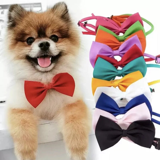 Puppy Bow Collar Pack
