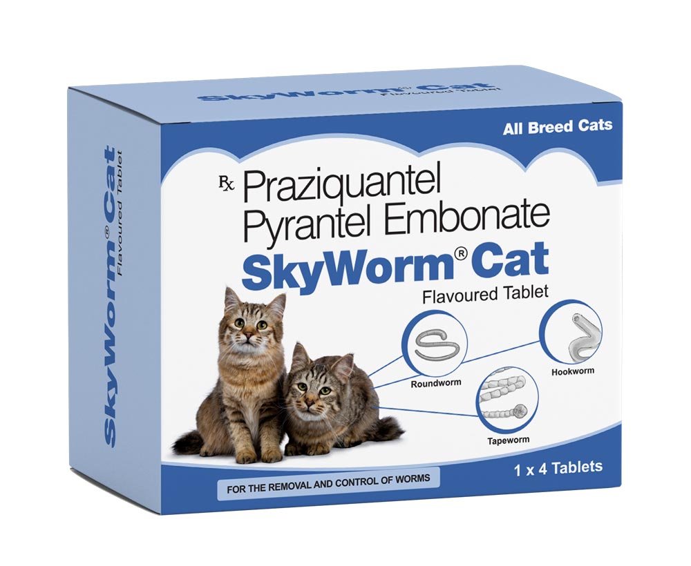 SkyWorm Cat - image 1