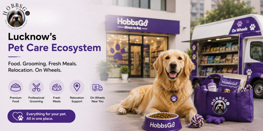 HobbsGo Direct-to-Pet ecosystem with pet retail, grooming, fresh food and HobbsGo On Wheels in Lucknow