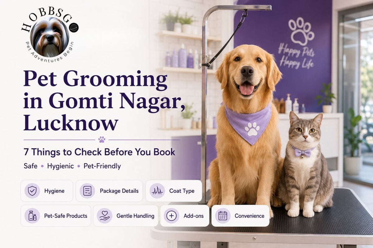 HobbsGo Best Pet Grooming Center In Lucknow