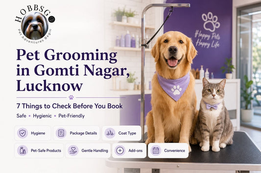 HobbsGo Best Pet Grooming Center In Lucknow