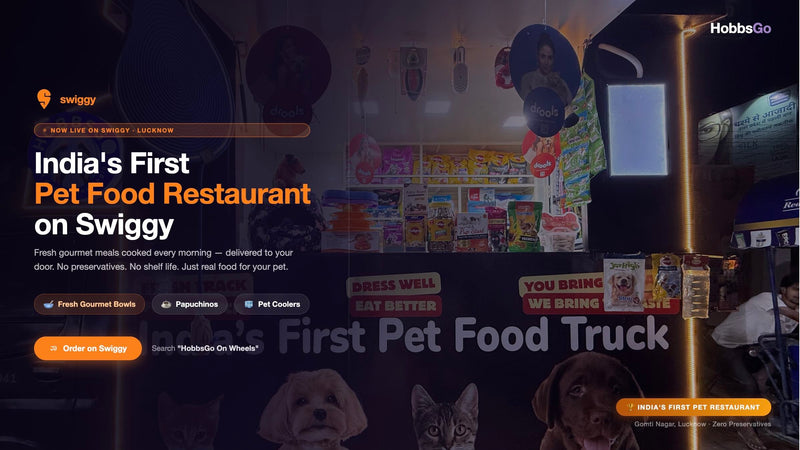 India's First Pet Food Restaurant Is Here - HobbsGo On Wheels, Lucknow