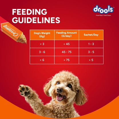 Drools Dog Treats Creamy Chicken & Carrot