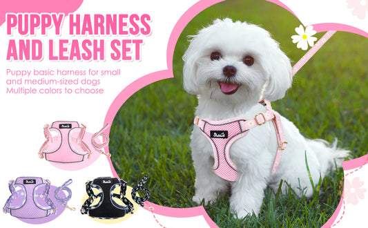 Premium Frock Harness & Leash Set M Pack