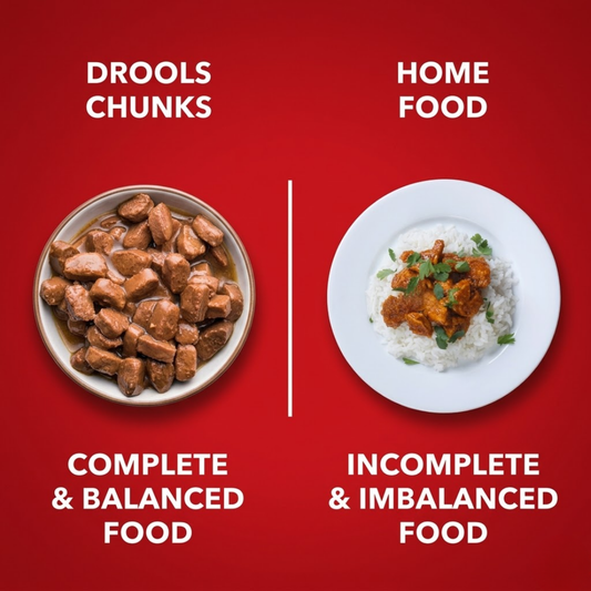 Drools Adult Real Chicken & Chicken Liver Chunks Wet Dog Food