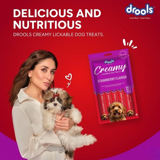 Drools Dog Treats  Creamy Strawberry