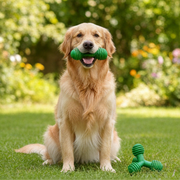 Drools Trio Bolt Dog Toy