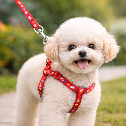 Patterned Harness and Leash Set