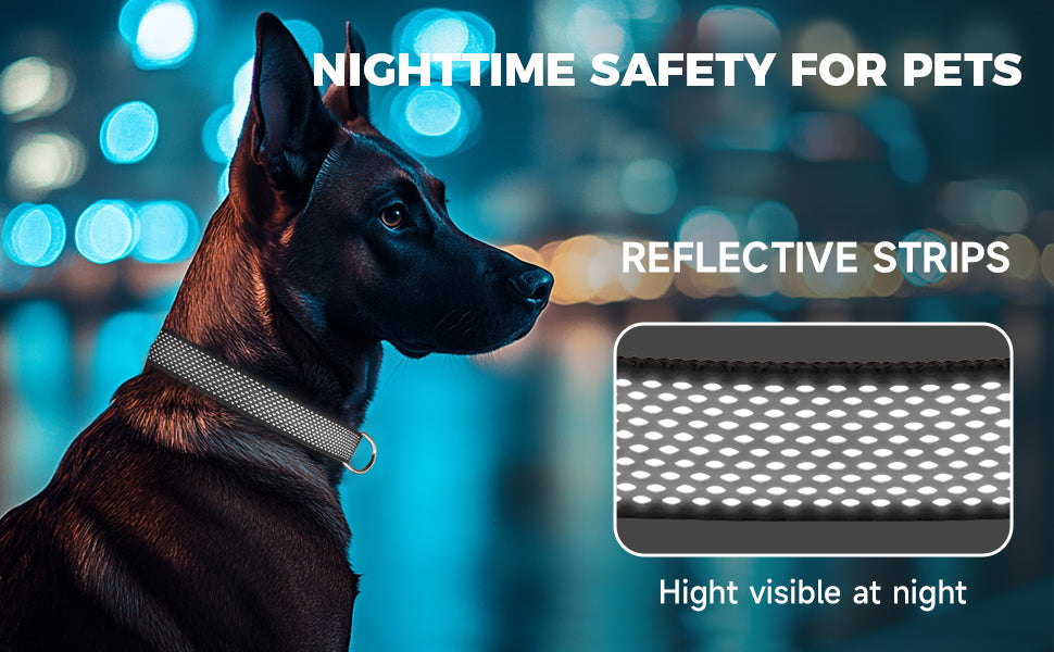 HobbsGo Reflective Nylon Dog Collar - Night Visibility Pack