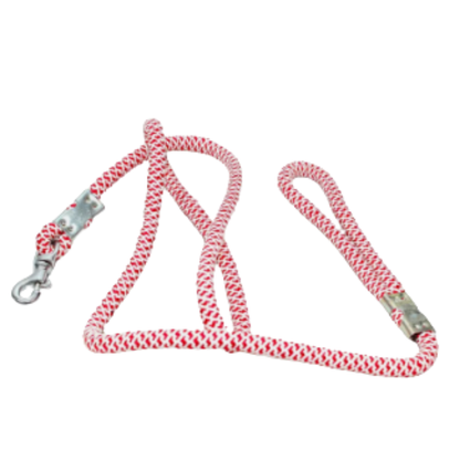 Durable Braided Nylon Rope Dog Leash