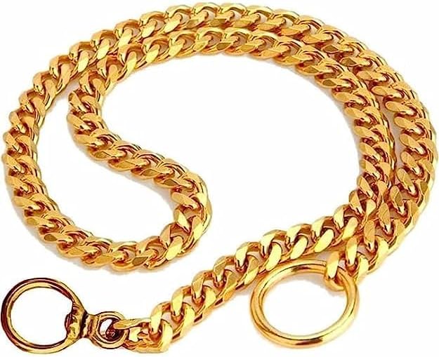 Golden Choke Dog Collar - 8 - image 4