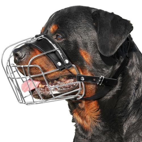 Heavy Duty Iron Muzzle for dog - image 3