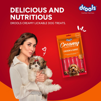 Drools Dog Treats Creamy Chicken & Carrot