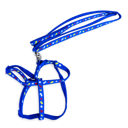 Patterned Harness and Leash Set