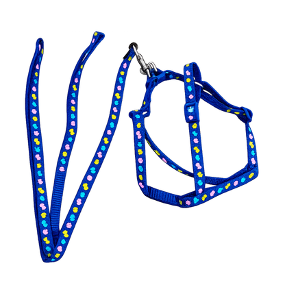 Patterned Harness and Leash Set