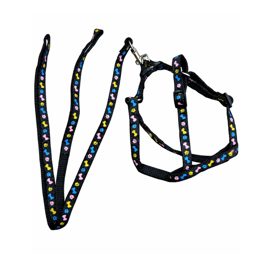 Patterned Harness and Leash Set