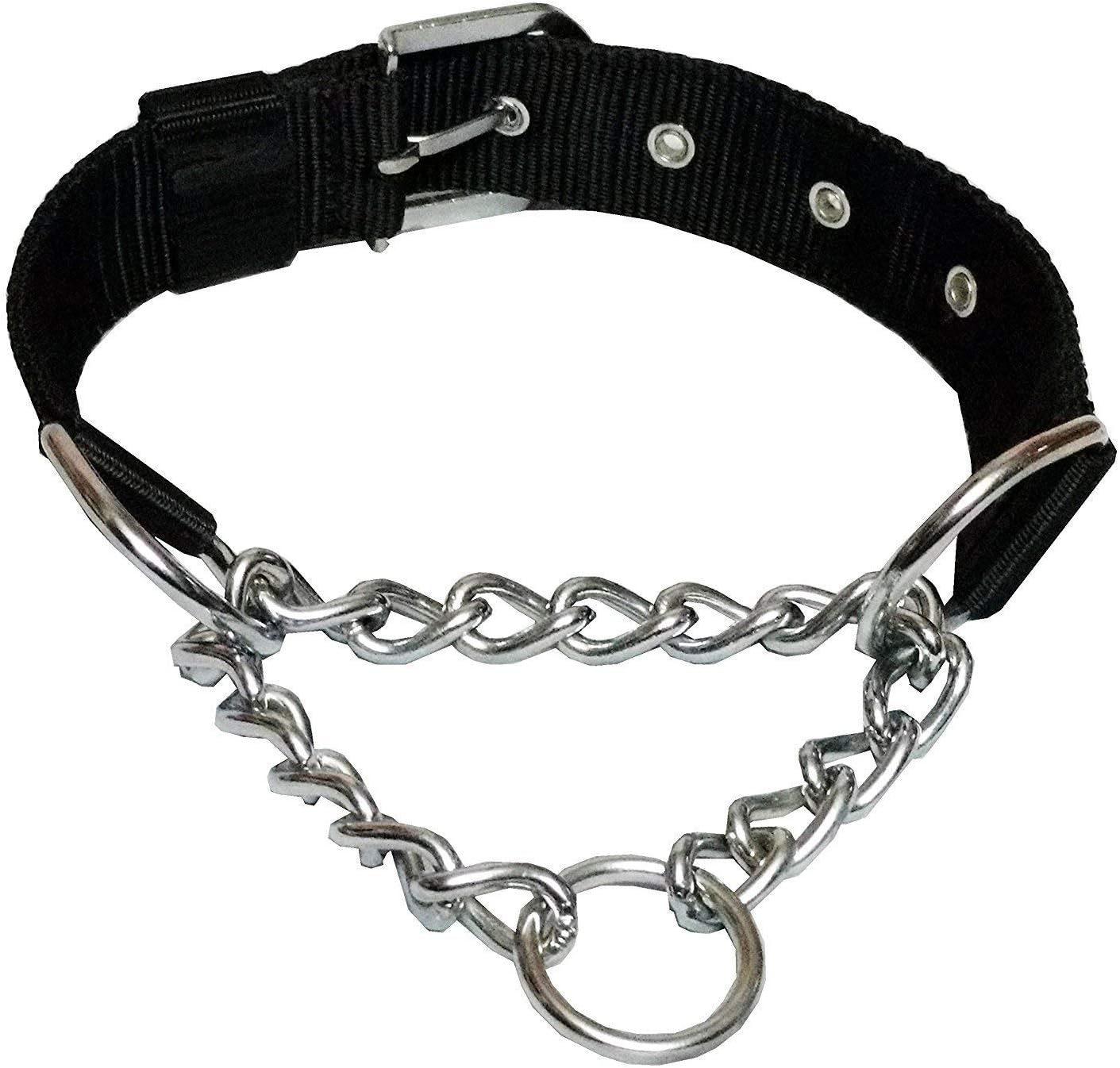 Nylon and Steel Chain Choke Collar - 1.25 - image 1