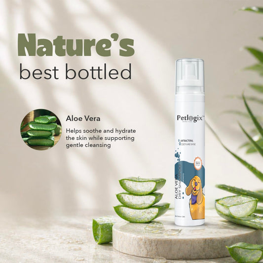 Petlogix Aloe Vera Dry Shampoo - Anti-Bacterial & Anti-Fungal 1lt