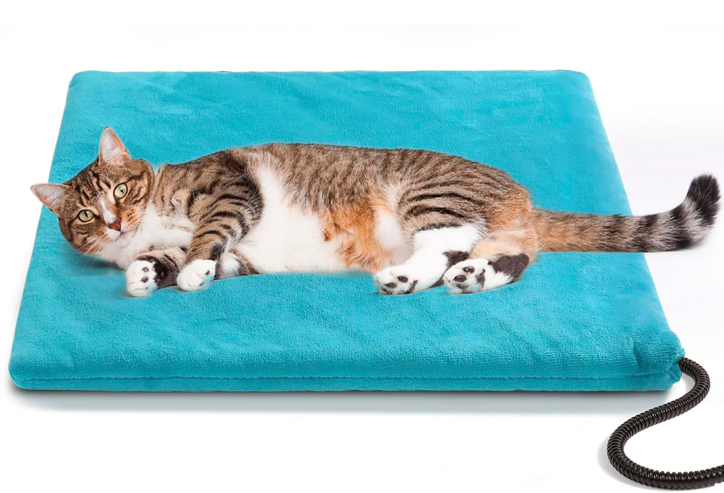 Cat Mat Blue Colour
