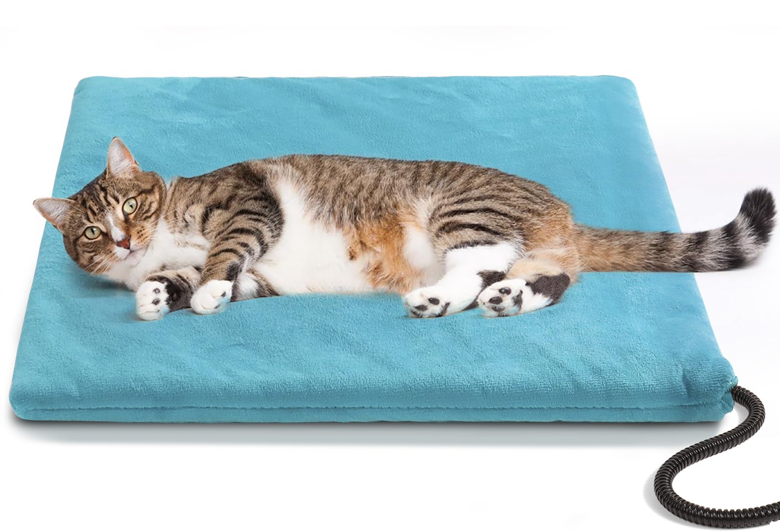 Cat Mat Blue Colour