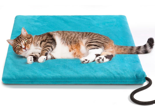 Cat Mat Blue Colour