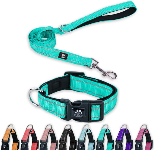 Radium Reflective Collar & Leash Set - 0.5" for Puppies Pack