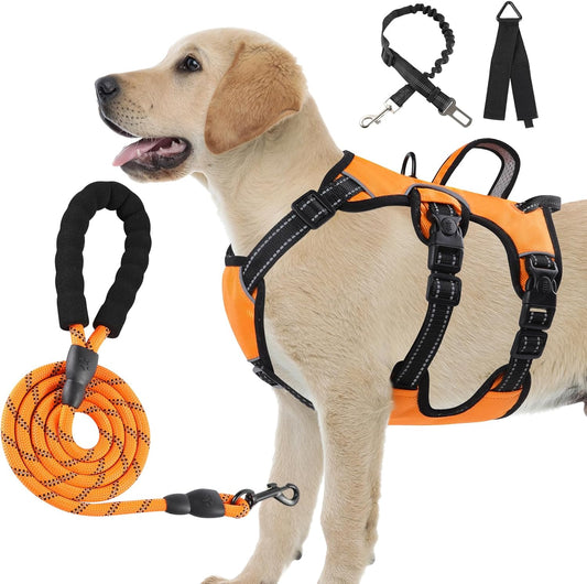 Premium Luxe Harness & Leash with Soft Handle M Pack