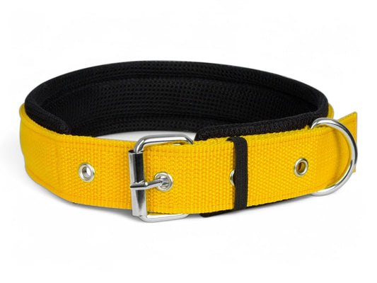 HobbsGo Nylon Padded Belt Collar for Dogs 18mm Pack