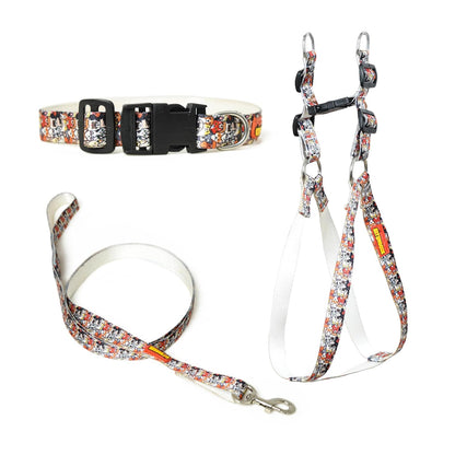 Multicolor Printed Nylon Harness Set - 0.5" for Cat & Puppy Pack