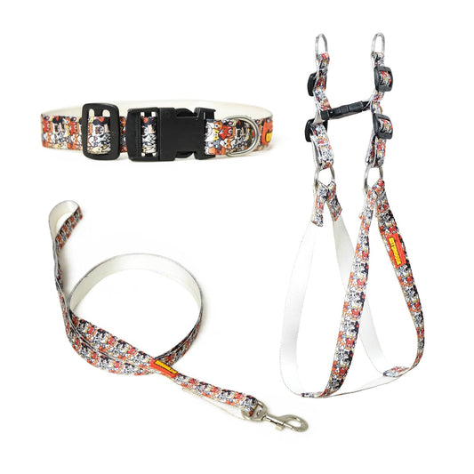 Multicolor Printed Nylon Harness Set - 0.5" for Cat & Puppy Pack