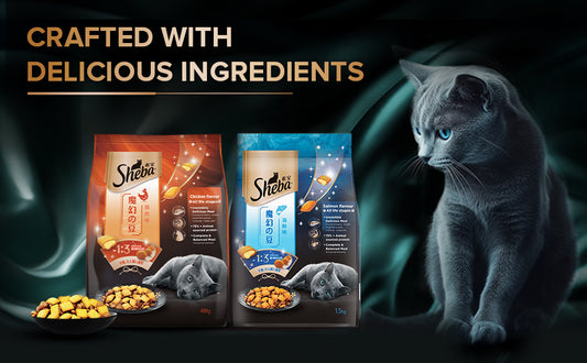 Sheba Kitten & Adult Chicken Flavour 1.5kg