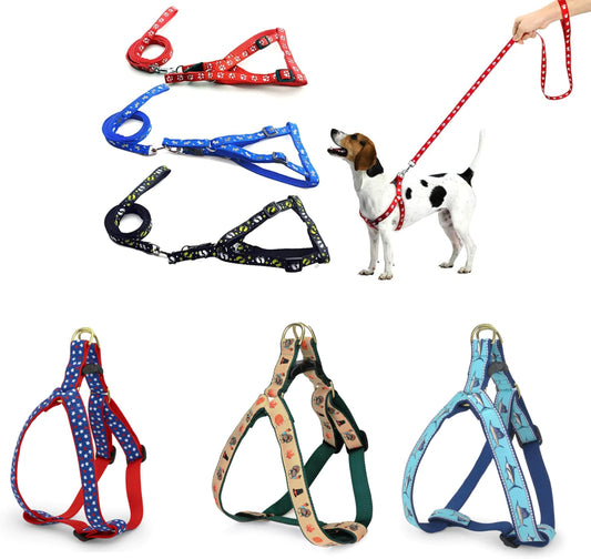Multicolor Printed Harness Set - 0.5" for Cat & Puppy Pack