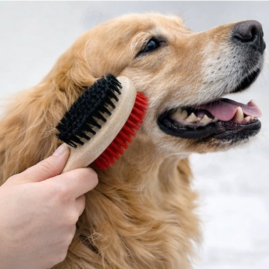 Premium Double-Sided Bristle Grooming Brush for Dogs & Cats