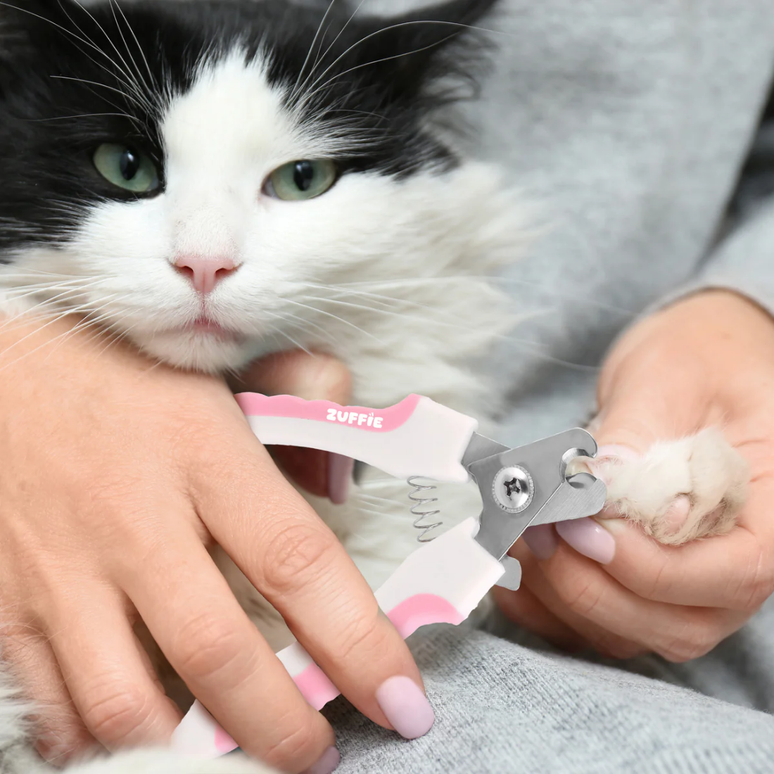 Pet Nail Clipper & File Set