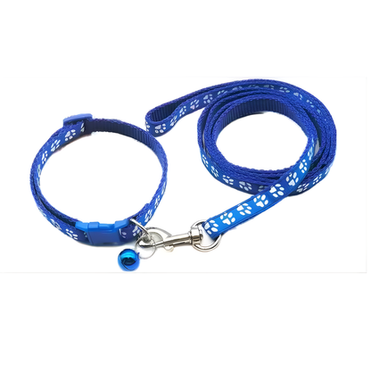 Matching Collar and Leash Sets